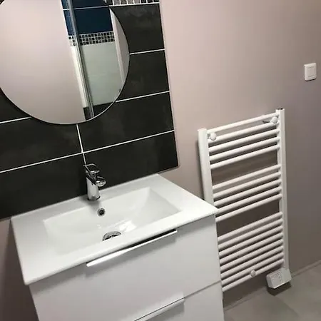 Appartement Maison Chaleureuse Au Centre Nérac